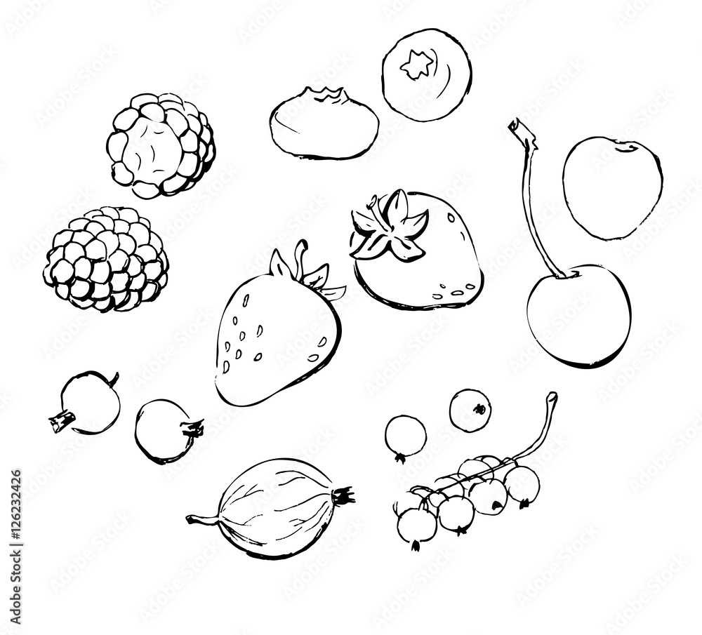 Obraz premium Berries doodles outline