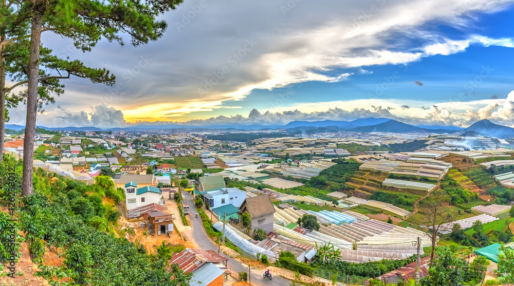 Beauty Da lat highland homes interspersed with vegetable gardens, planting flowers greenhouse, so far as hill with beautiful pine forests and idyllic in the highlands