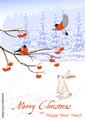 Christmas and New Year Greeting Card with Bullfinch Birds on a Rowan Tree Branch and White Hare collect berries in winter forest. Vector illustration