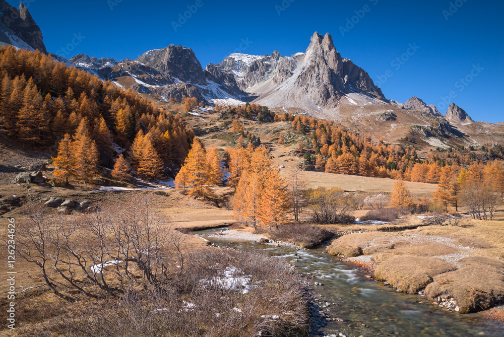 The river Claree and Larch trees in Vallee de la Claree during a clear day in autumn.