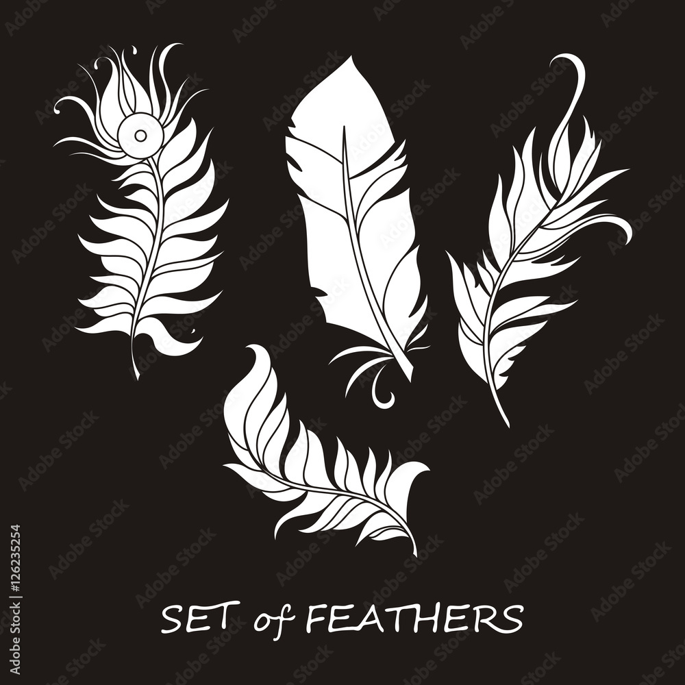 Obraz premium Vector Ornate Set of Stylized and Silhouette Abstract Feathers.