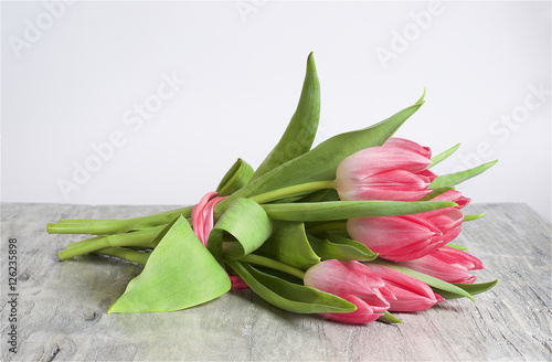 Pink tulip, grey wooden background