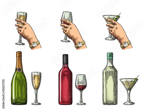 Set alcohol drinks with bottle, glass and hand holding cocktail, wine, champagne