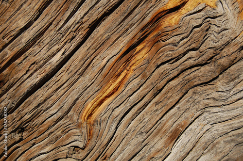 Wooden texture. vintage weathered wood background for design