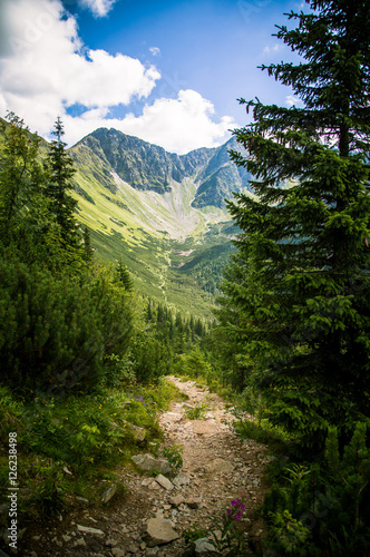 Fototapeta Naklejka Na Ścianę i Meble -  A beautiful Tatry mountain landscape