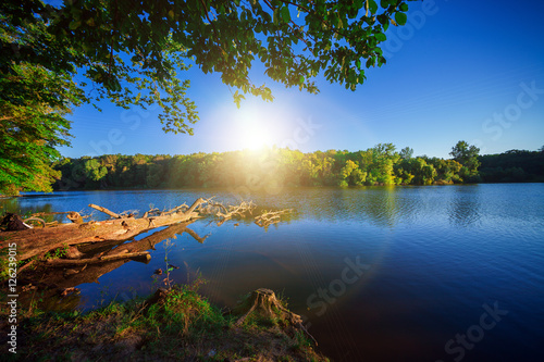 Picturesque forest and the river