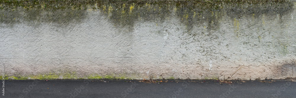 Fototapeta premium Panorama Hintergrund aus Mauer mit hellem Rauputz mit Algen und Boden aus schwarzem Asphalt - Panoramic background of wall with light rough plaster with algae and ground made of black asphalt