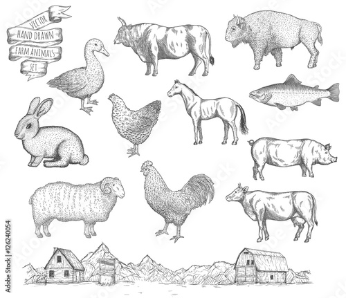 Farm collection vector.