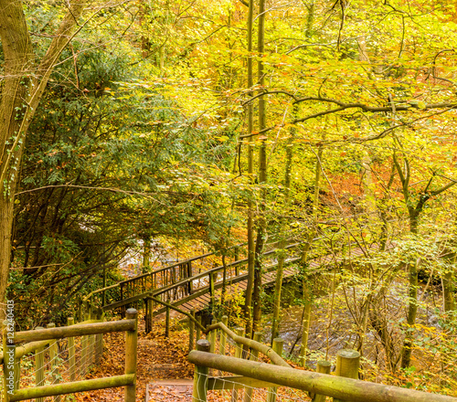 Woodland steps and beautiful Autumn colours on trees at Styal Country Park, Wilmslow, Cheshire, uk photo