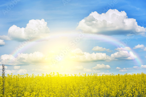 Field with rape takes up less of the image. yellow bright flowers. . Sunny bright day. Beautiful sky with sun and rainbow lines. 
