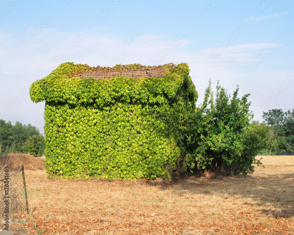 casa verde ecologica