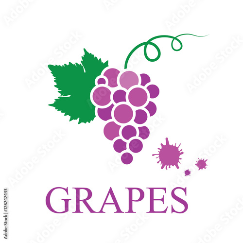 Violet_silhouette_of_grapes