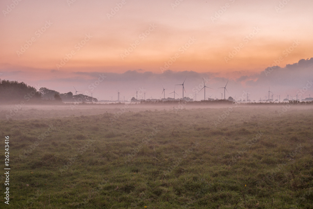 Fototapeta premium Fog