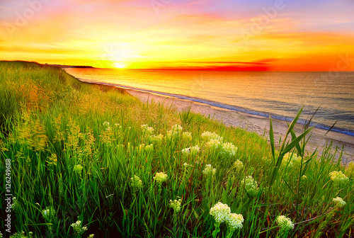 Beautiful sea bay at sunrise. In the foreground grass and flowers on the beach. Beautiful sky with different colors of flowers and the sun rising over the horizon   © Ann Stryzhekin