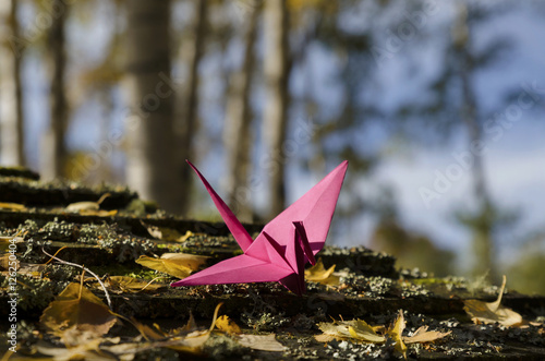 Pink crane in wood © payamona