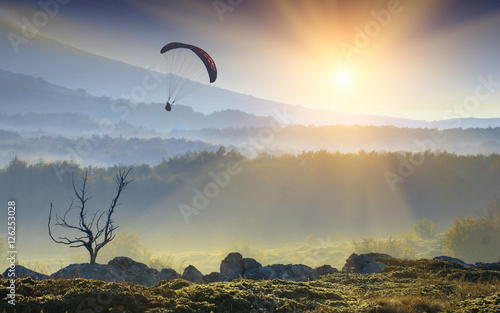 Silhouette of flying paraglide