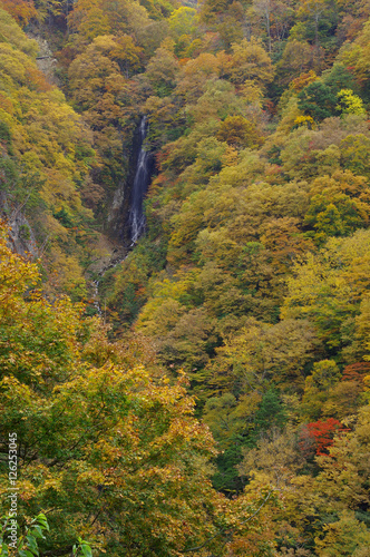 松川渓谷 八滝の紅葉