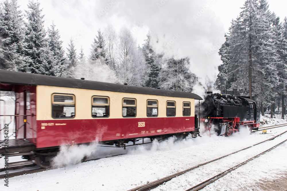 In the foreground the Brocken Railway. Winter Landscape In the foreground the Brocken Railway. Winter Landscape