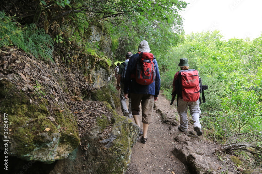 Pilgrimage in Holy Land. Walk in Golan Heights. Israël.