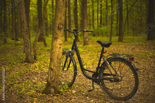 Black bicycle stands near the tree in the forest 