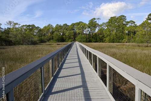 Boardwalk over the marshland of Florida © itsallgood