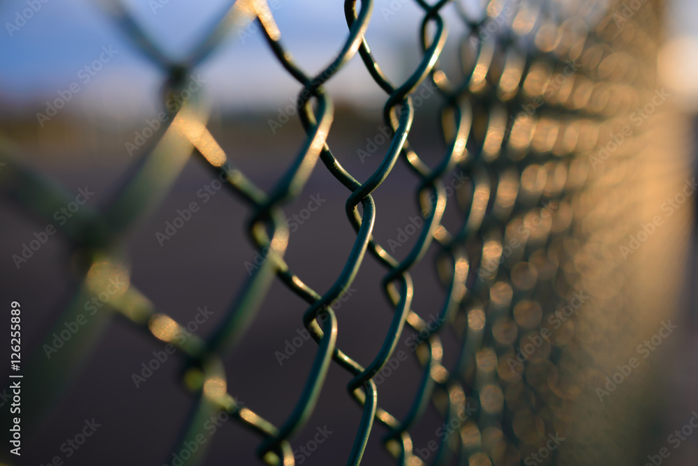 fence with metal grid in perspective