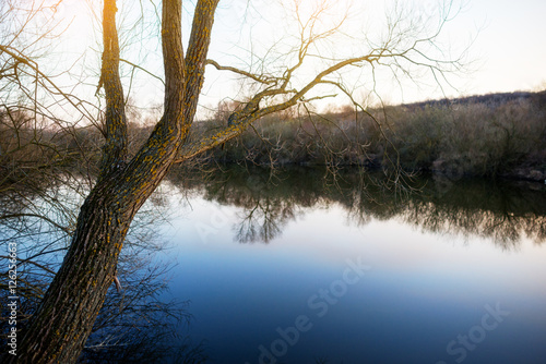a small pond near the bare autumn trees © cezarksv