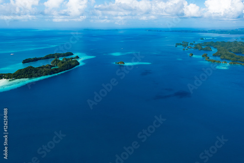 The Whale Island - Palau