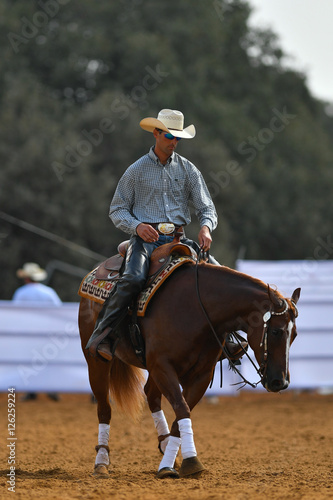 The front view of a rider in cowboy chaps, boots and hat on a horseback performs an exercise during a competition