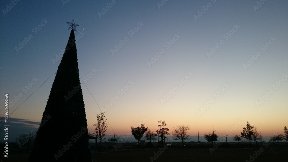 Fototapeta premium 夕焼けとクリスマスツリー