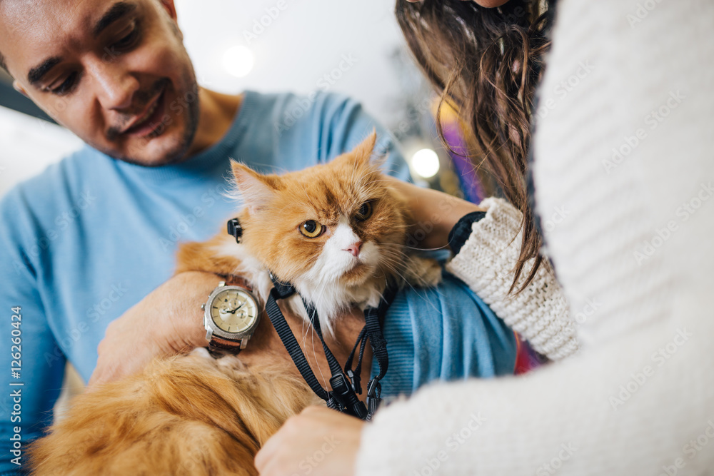 Φωτογραφία Young man and woman taking their Persian cat to the pet shop
