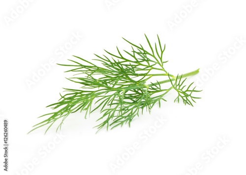Print op canvas Green dill isolated on white background. Studio macro