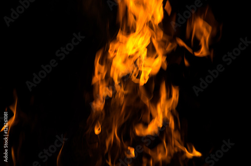 Fire flames on a black background © ZaZa studio