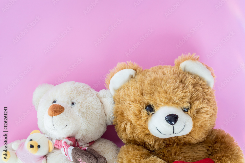Obraz premium Teddy bear on pink background
