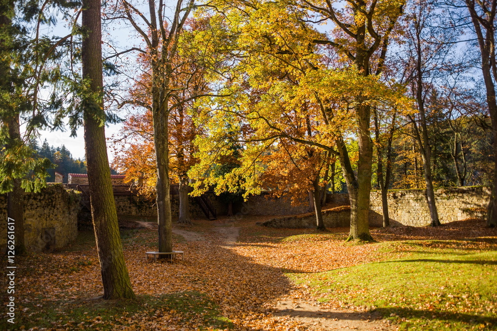 Fototapeta premium Zvikov castle, Czech republic.