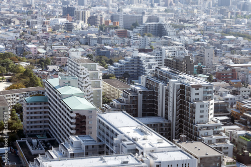 東京都市風景　東京都心の密集した住宅街イメージ　戸建とマンション混在　江戸川区