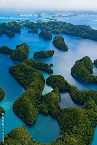 Marine Lake - Palau