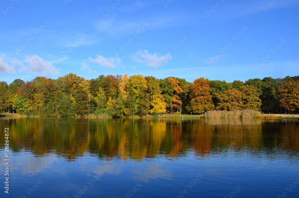 am see am see
