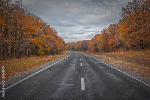 Autumn Road,Moldova,Chisinau 2016/Autumn Road © kasperok32