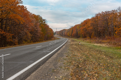 Autumn Road,Moldova,Chisinau 2016/Autumn Road