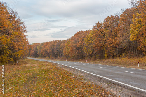 Autumn Road,Moldova,Chisinau 2016/Autumn Road