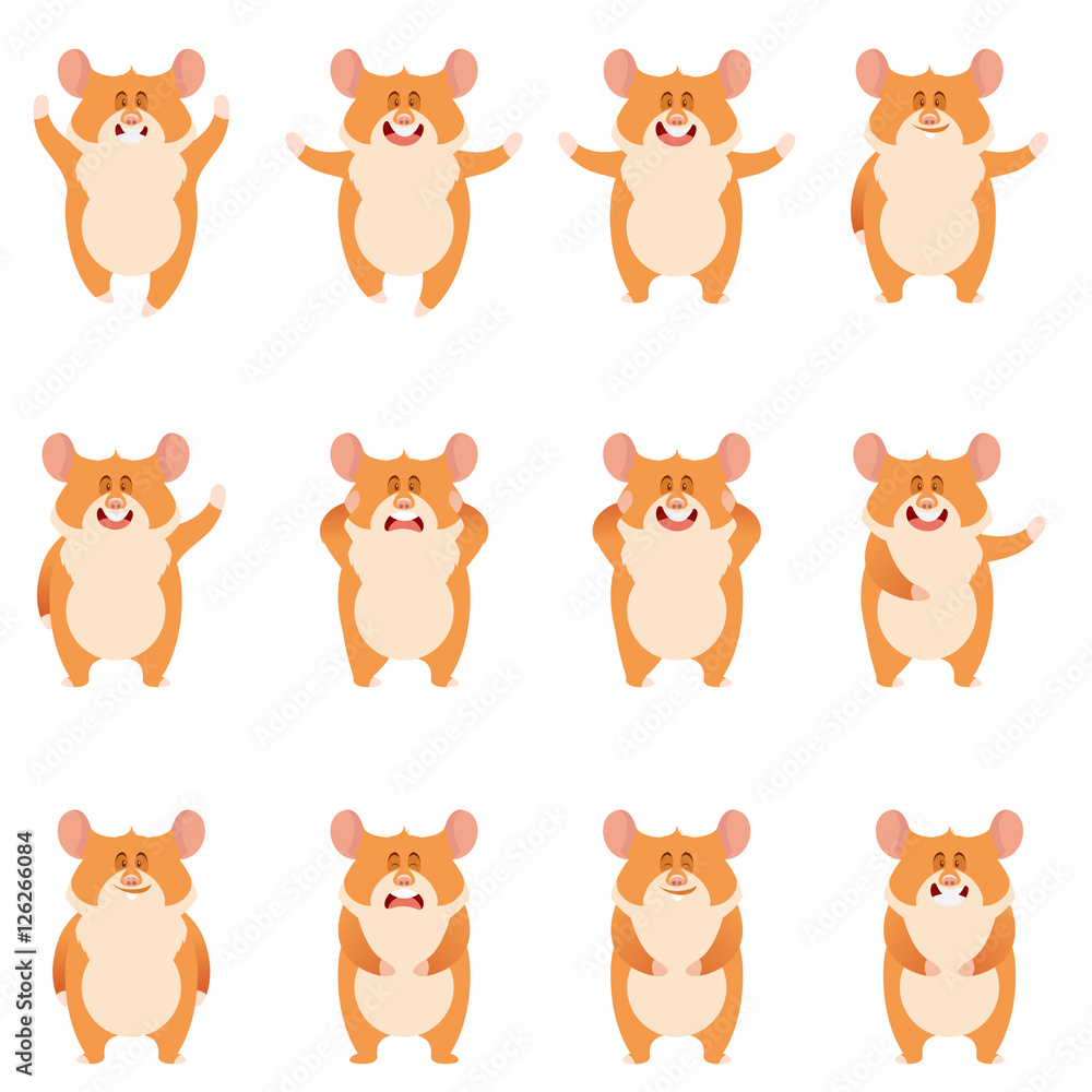 Set of flat hamster icons Set of flat hamster icons