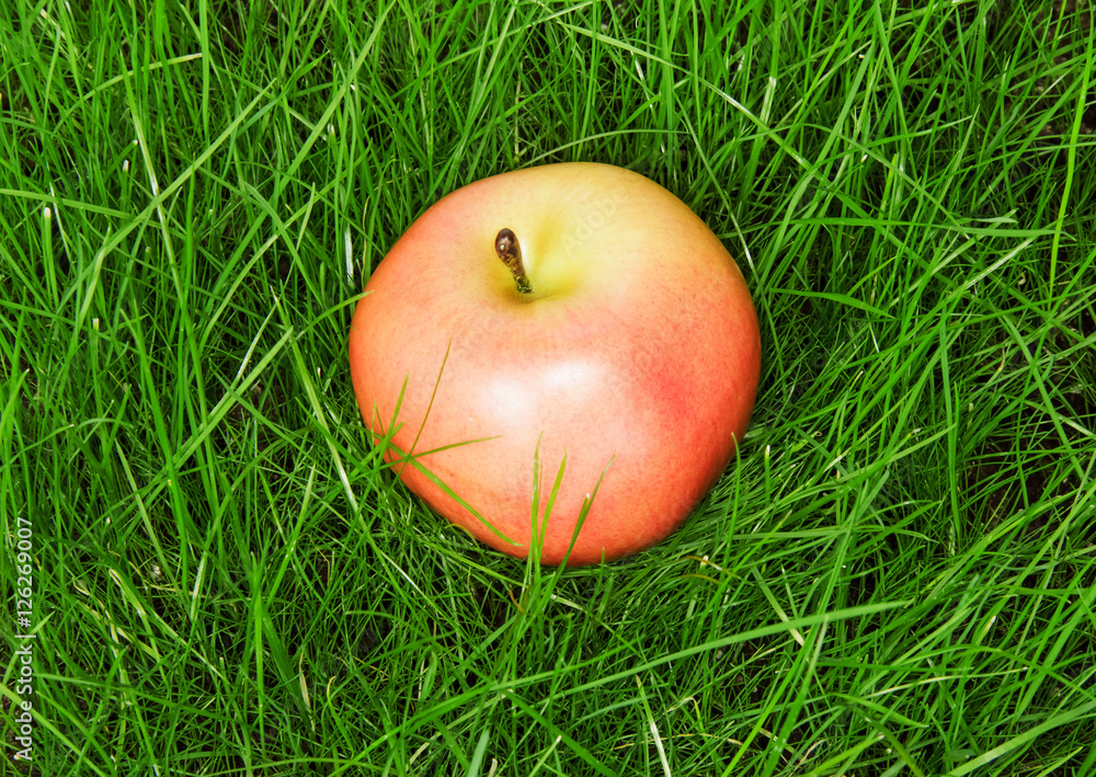 Ripe apple lies on green grass. Background. Ripe apple lies on green grass. Background.