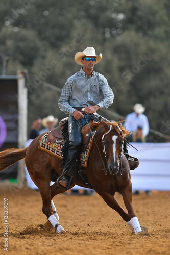 The front view of a rider in cowboy chaps, boots and hat on a horseback performs an exercise during a competition