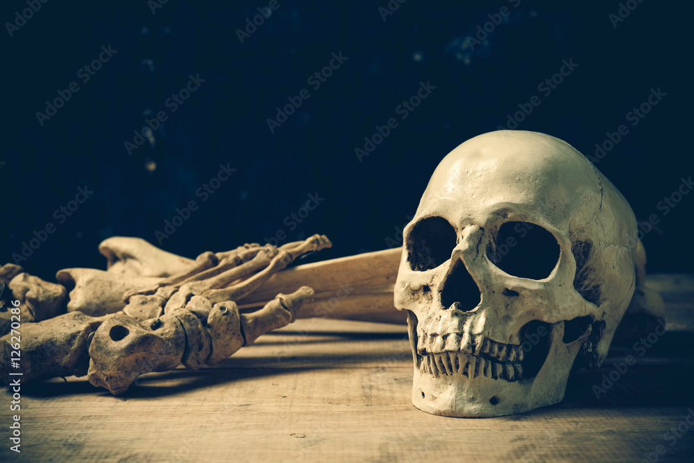 Human skull on old wood background ; still-life Human skull on old wood background ; still-life