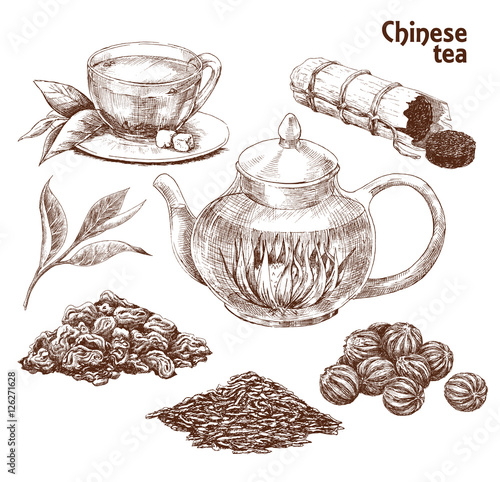 Chinese tea set. Hand drawn collection of varied traditional Chinese tea in vintage style. Vector illustration