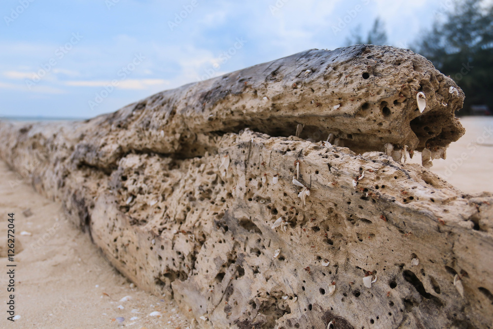 Old and rusty wooden piece at beach Old and rusty wooden piece at beach