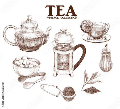 Tea set. Hand drawn collection in vintage style. Vector illustration. 