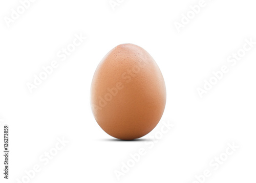 chicken egg on isolate white