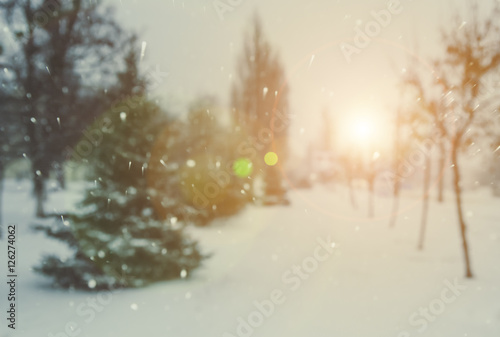 Winter, blur spruce trees, bokeh, falling snow © fotolesnik